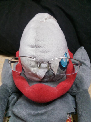 Illustration for article titled Pokémon Wearing Glasses Is a Meme